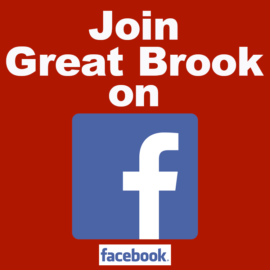 Featured image of article: Great Brook School is now on Facebook!