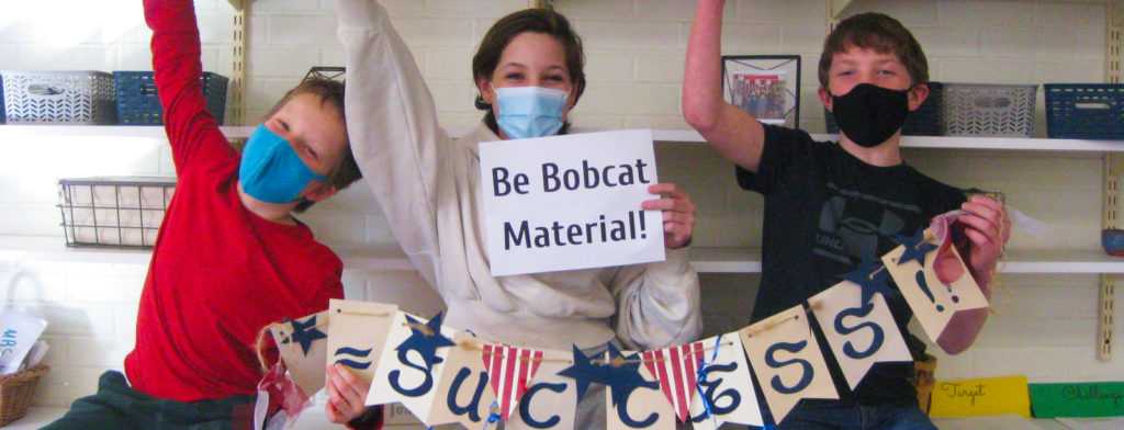 Featured image of article: Bobcat Success